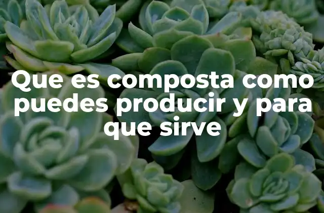 El compostaje como estrategia para la sostenibilidad ambiental