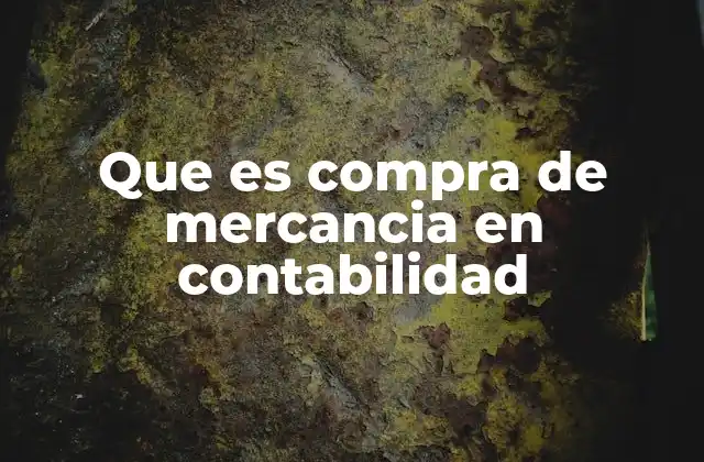 Que es Compra de Mercancia en Contabilidad