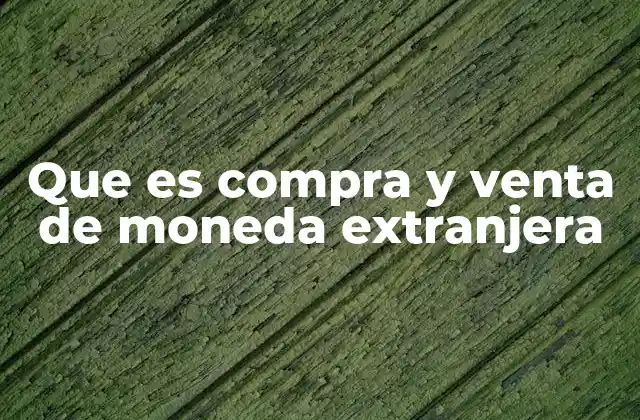 Que es Compra y Venta de Moneda Extranjera 2 La dinámica del mercado de divisas
