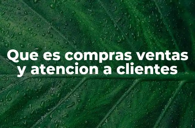 Que es Compras Ventas y Atencion a Clientes
