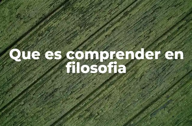 Que es Comprender en Filosofia
