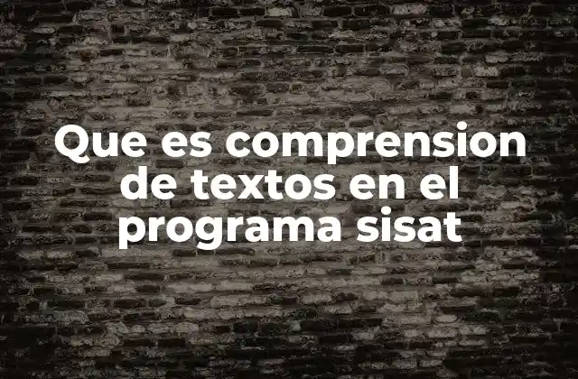 Que es Comprension de Textos en el Programa Sisat