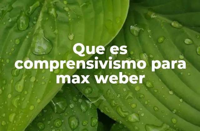 Que es Comprensivismo para Max Weber