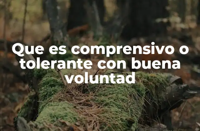 Que es Comprensivo o Tolerante con Buena Voluntad