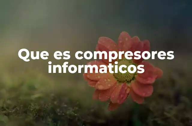 Que es Compresores Informaticos 2 La importancia de optimizar archivos digitales