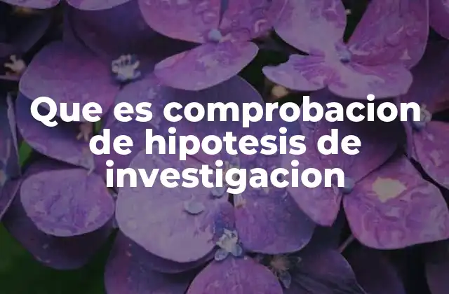 Que es Comprobacion de Hipotesis de Investigacion