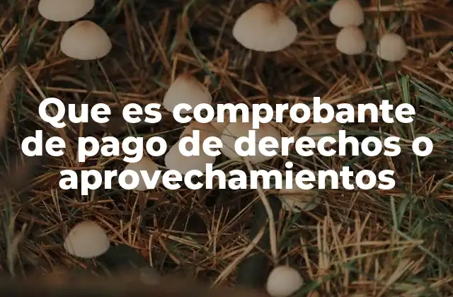 Que es Comprobante de Pago de Derechos o Aprovechamientos