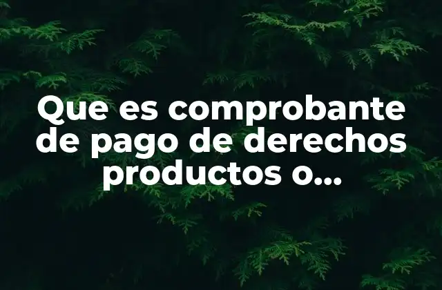 Que es Comprobante de Pago de Derechos Productos o Aprovechamientos