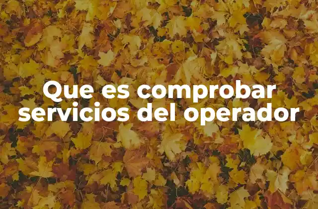 Que es Comprobar Servicios Del Operador