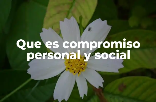 Que es Compromiso Personal y Social