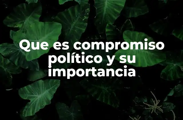 Que es Compromiso Político y Su Importancia