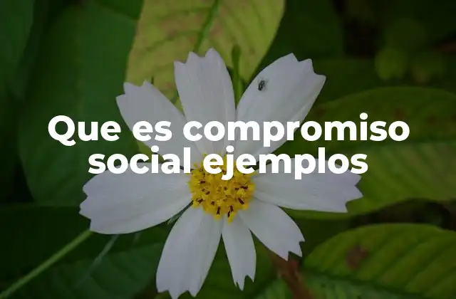 Que es Compromiso Social Ejemplos