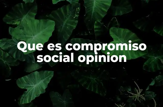 Que es Compromiso Social Opinion