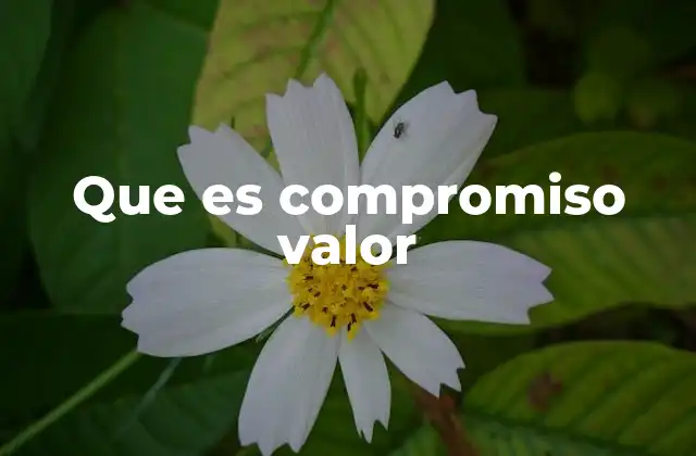 Que es Compromiso Valor