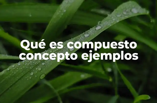 Qué es Compuesto Concepto Ejemplos