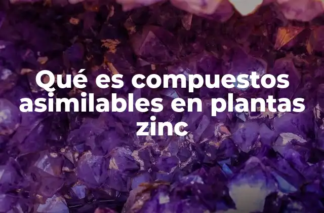 Qué es Compuestos Asimilables en Plantas Zinc