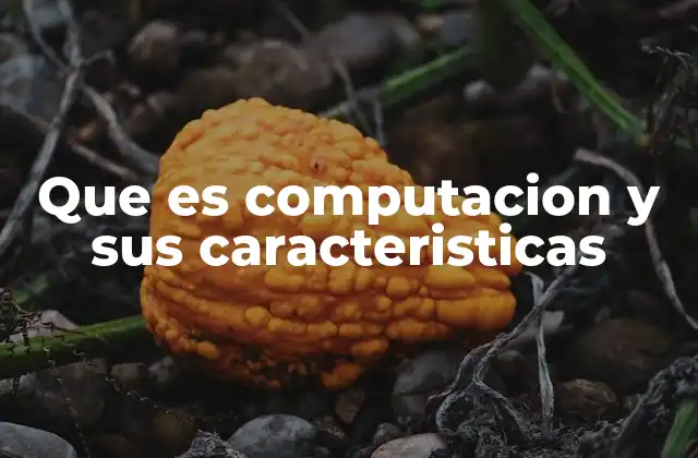 Que es Computacion y Sus Caracteristicas