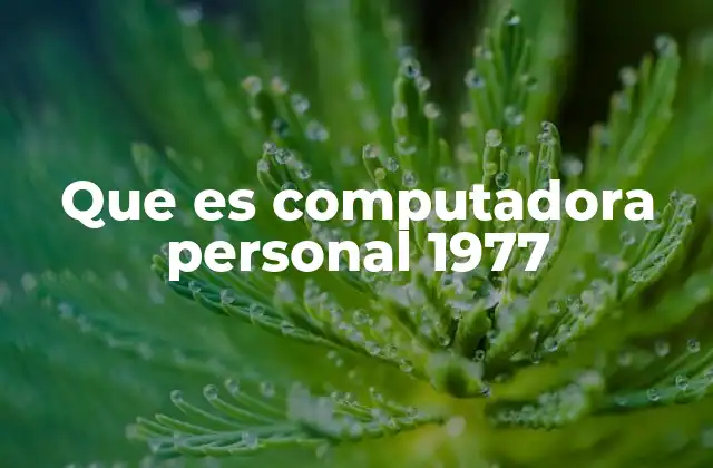 Que es Computadora Personal 1977