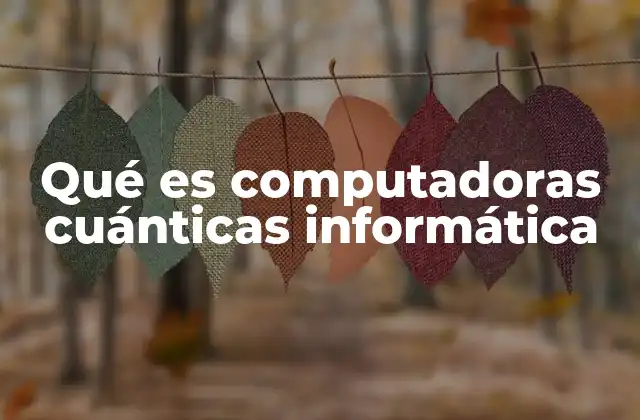 Qué es Computadoras Cuánticas Informática