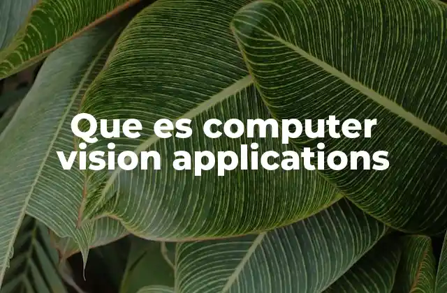 Que es Computer Vision Applications