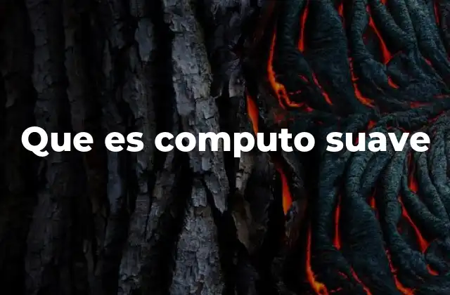 Que es Computo Suave