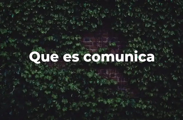 Que es Comunica 2 La importancia del intercambio de mensajes en la sociedad
