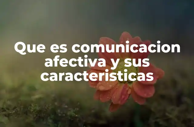 Que es Comunicacion Afectiva y Sus Caracteristicas