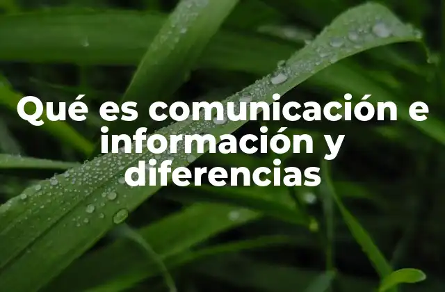 Qué es Comunicación e Información y Diferencias
