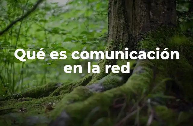 Qué es Comunicación en la Red