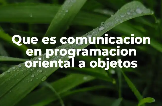 Que es Comunicacion en Programacion Oriental a Objetos