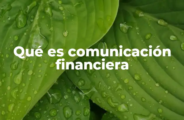 Qué es Comunicación Financiera