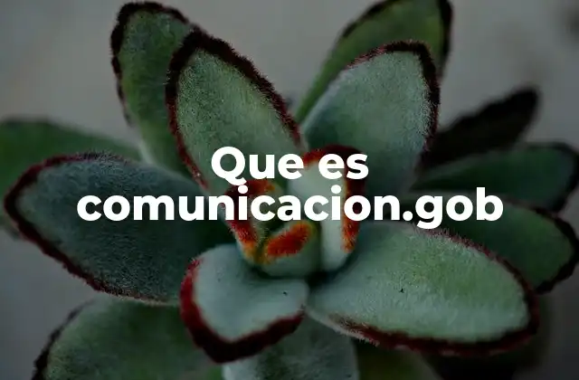 La importancia de la comunicación institucional en el gobierno federal