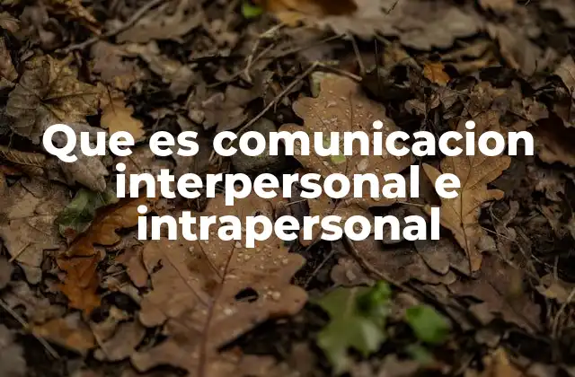 Que es Comunicacion Interpersonal e Intrapersonal
