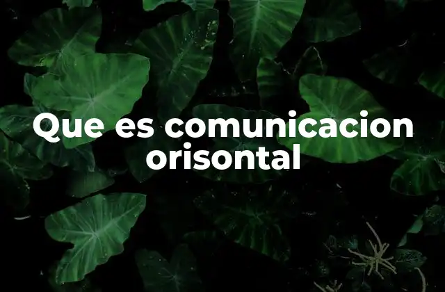 Que es Comunicacion Orisontal