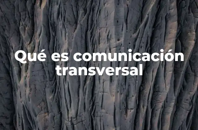 Qué es Comunicación Transversal
