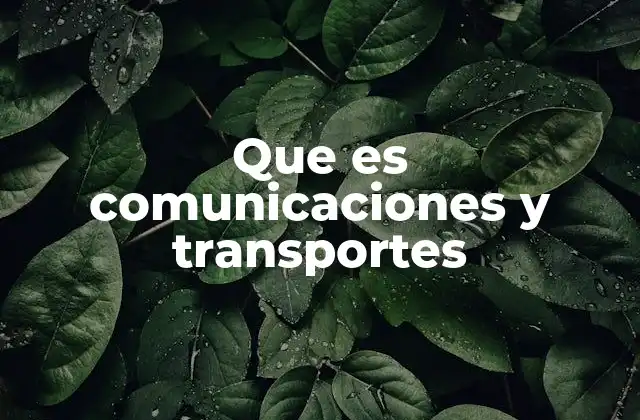 Que es Comunicaciones y Transportes
