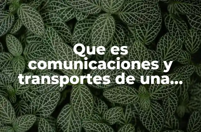 Que es Comunicaciones y Transportes de una Poblacion
