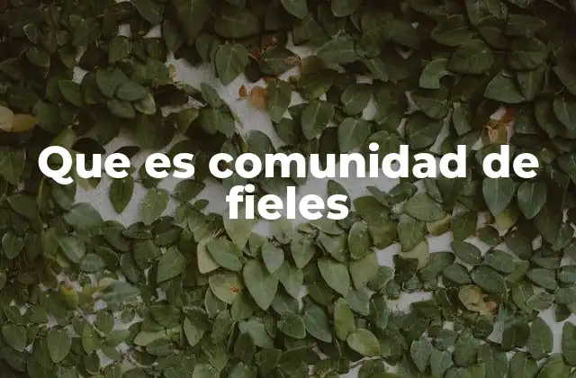 Que es Comunidad de Fieles