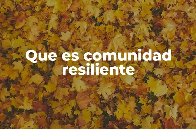 La importancia de las redes sociales en la construcción de una comunidad resiliente