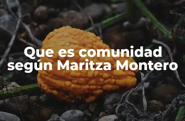Que es Comunidad según Maritza Montero