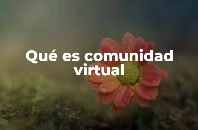Qué es Comunidad Virtual