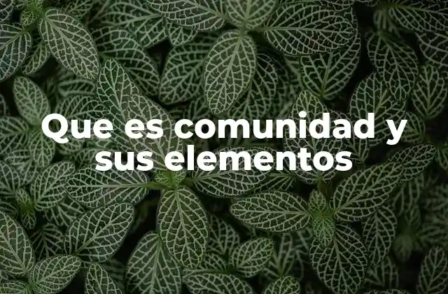 Que es Comunidad y Sus Elementos