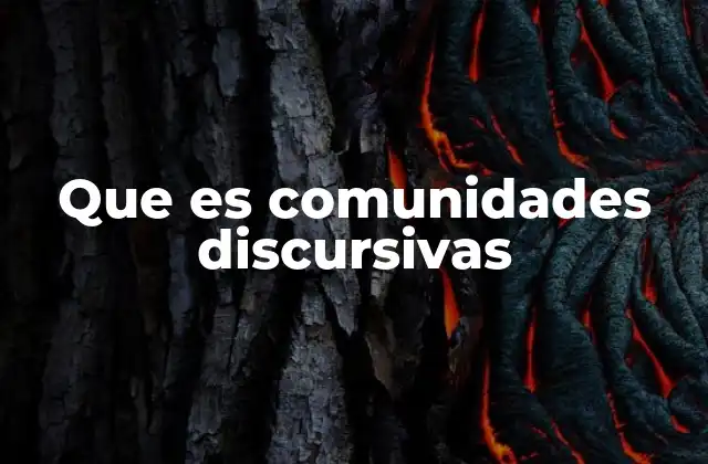 Que es Comunidades Discursivas