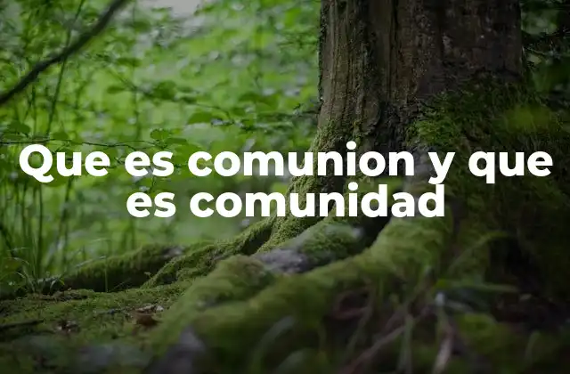 Que es Comunion y que es Comunidad