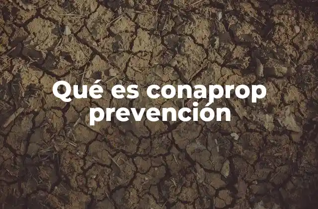Qué es Conaprop Prevención