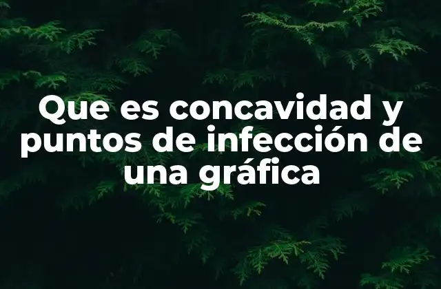 Que es Concavidad y Puntos de Infección de una Gráfica