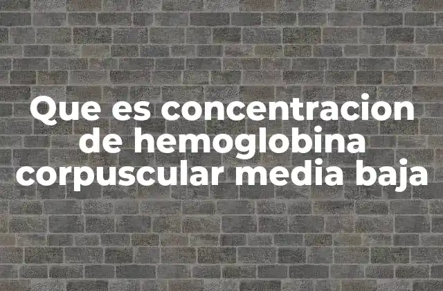 Que es Concentracion de Hemoglobina Corpuscular Media Baja