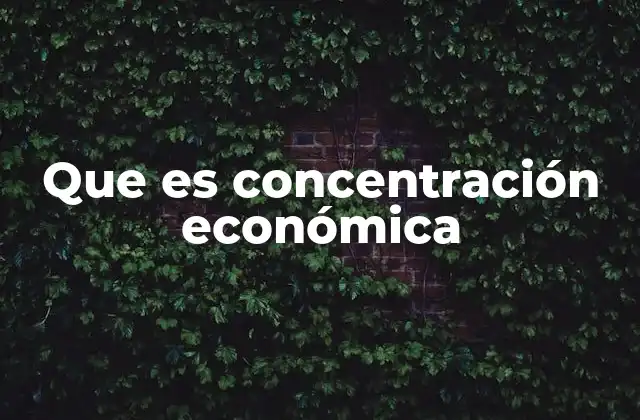 Que es Concentración Económica