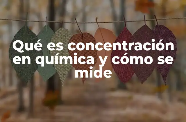 Qué es Concentración en Química y Cómo Se Mide