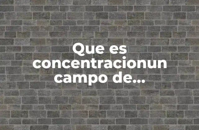 Que es Concentracionun Campo de Concentracion